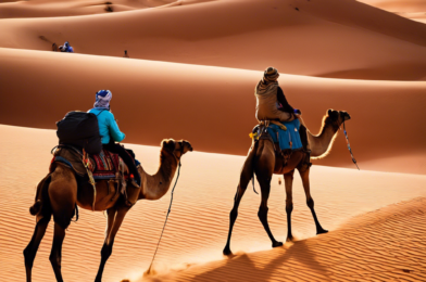 Sahara Adventure: Camel Trekking in Merzouga